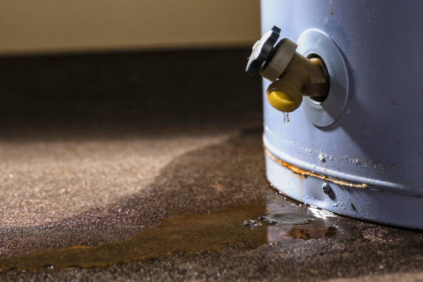 Best 24/7 water damage repair  in Berwyn Heights, MD