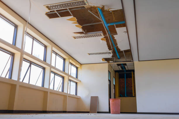 Best Professional water damage repair  in Berwyn Heights, MD