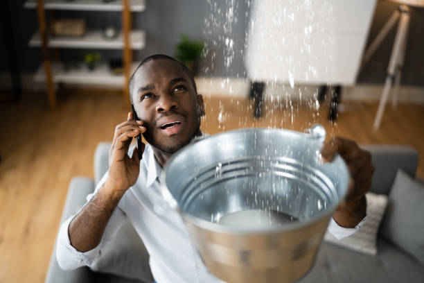 Best Commercial water damage restoration  in Berwyn Heights, MD