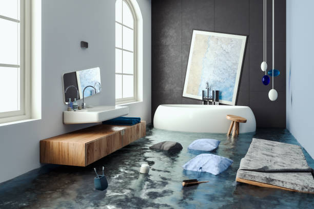 Berwyn Heights, MD Water damage restoration Company