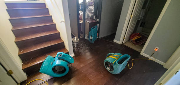 Best Flood restoration services  in Berwyn Heights, MD