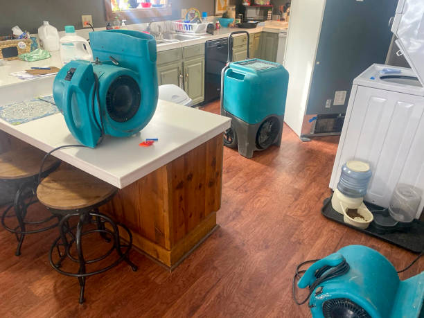 Best Basement water damage restoration  in Berwyn Heights, MD