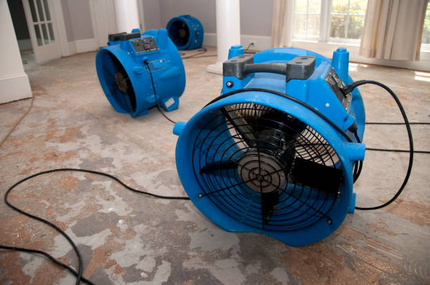 Best Local water damage restoration  in Berwyn Heights, MD