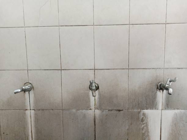 Water damage restoration insurance claims in Berwyn Heights, MD
