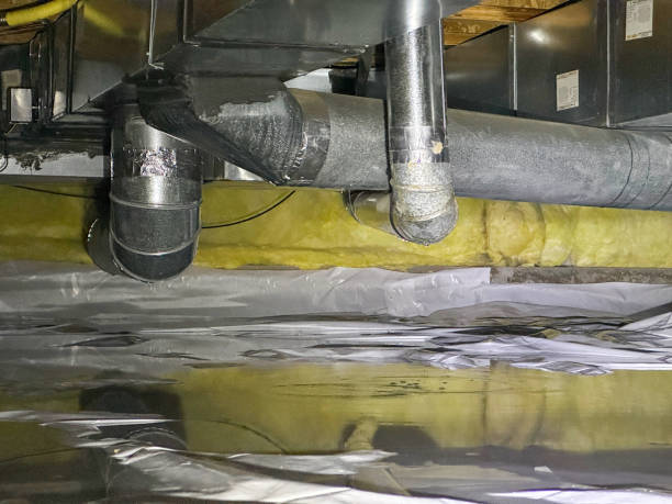 Best Water damage cleanup near me  in Berwyn Heights, MD