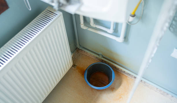 Best Water damage cleanup near me  in Berwyn Heights, MD