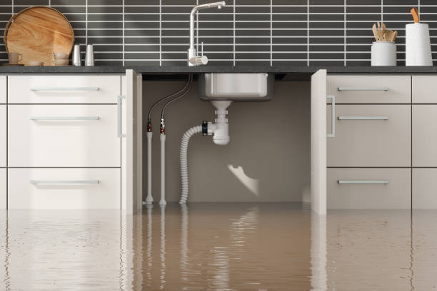 Best Local water damage restoration  in Berwyn Heights, MD