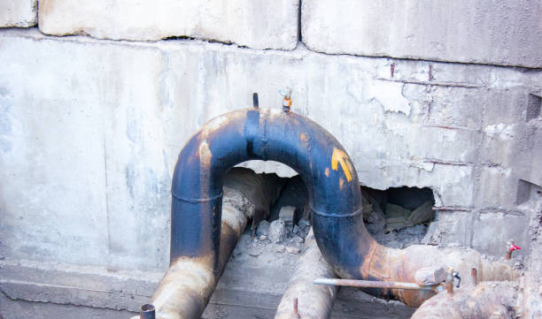 Best Water damage contractors near me  in Berwyn Heights, MD