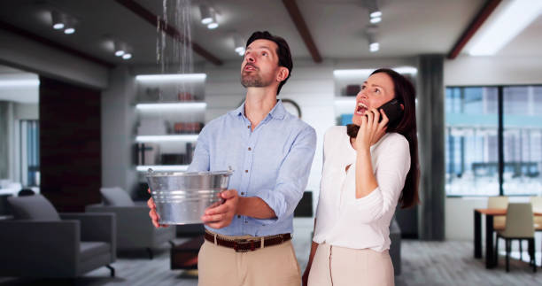 Best Water damage contractors near me  in Berwyn Heights, MD