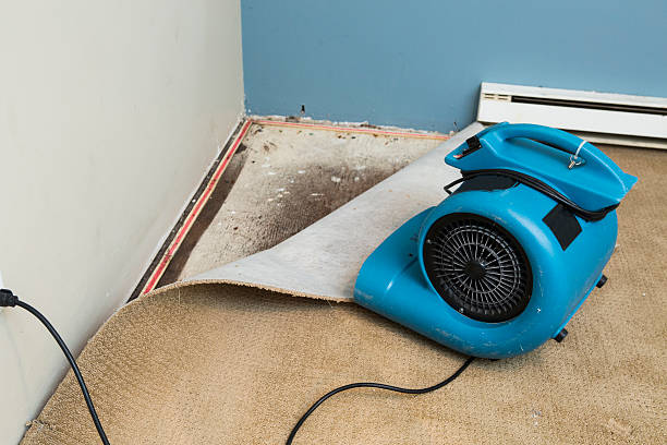 Best Commercial water damage restoration  in Berwyn Heights, MD